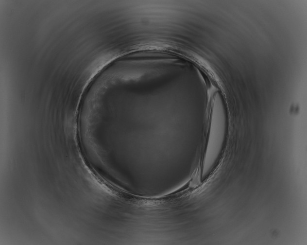 X0000091170802200708231504