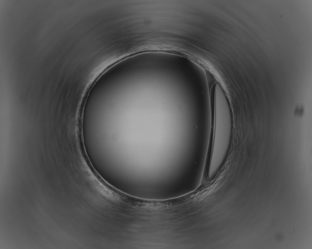 X0000091170803200708231504