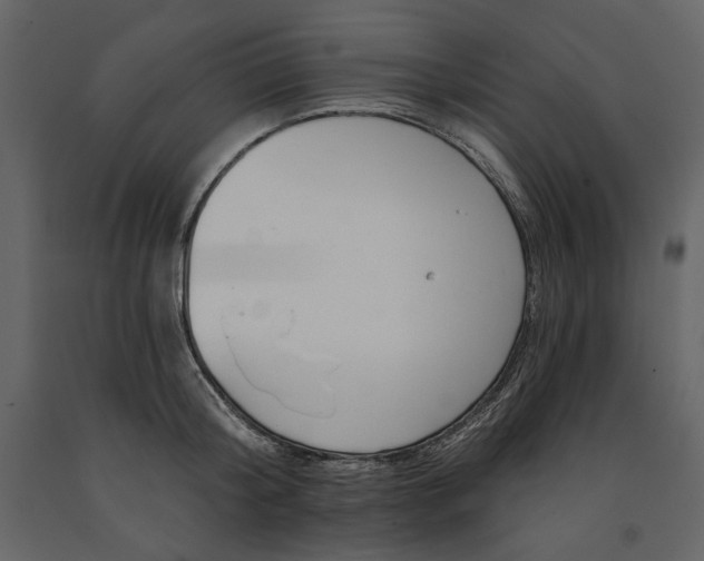 X0000091170804200708231504