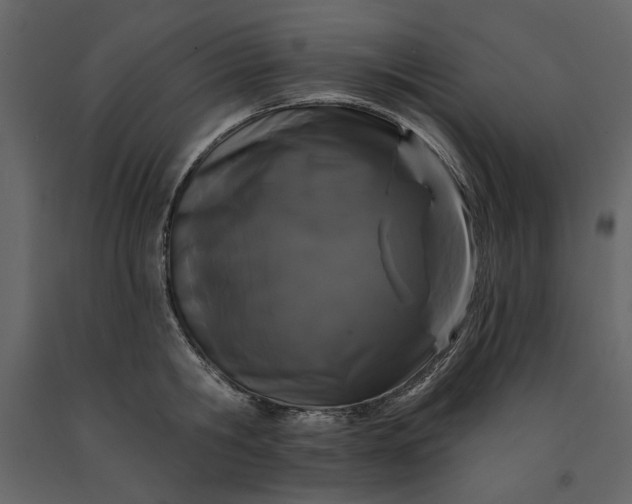 X0000091170806200708231504