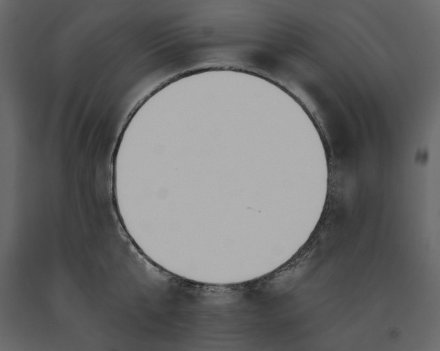 X0000091170807200708231504