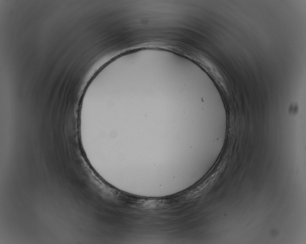 X0000091170808200708231504