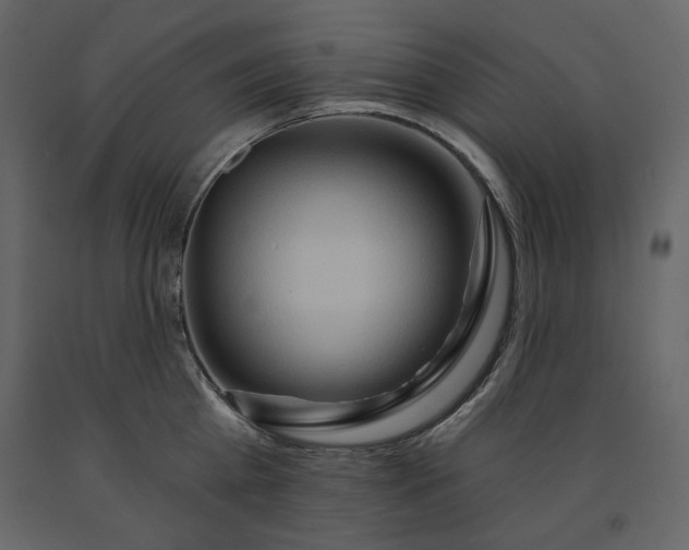 X0000091170809200708231504