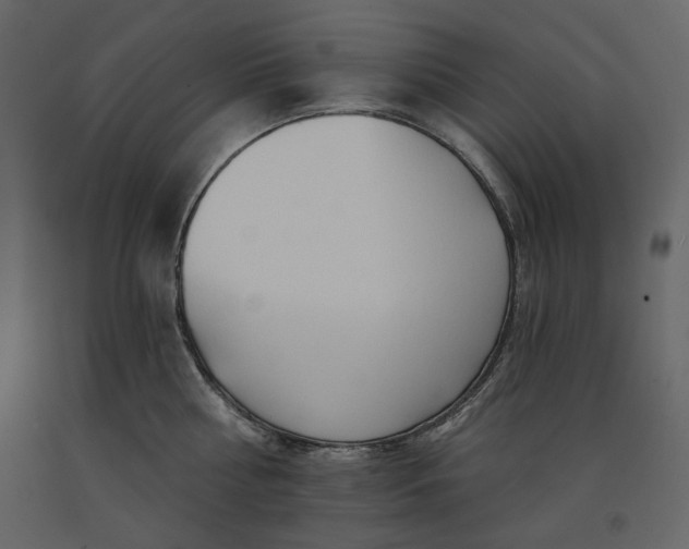 X0000091170810200708231504