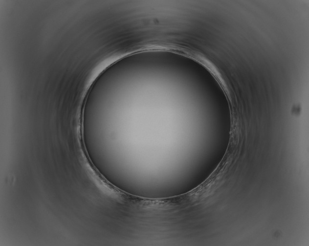 X0000091170811200708231504