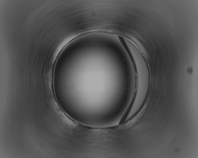 X0000091170812200708231504