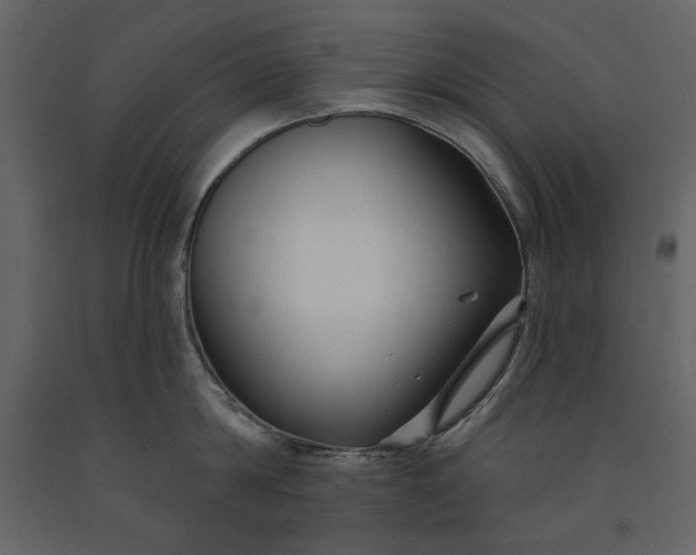 X0000091170814200708231504