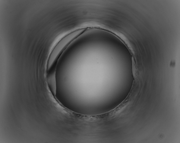 X0000091170815200708231504