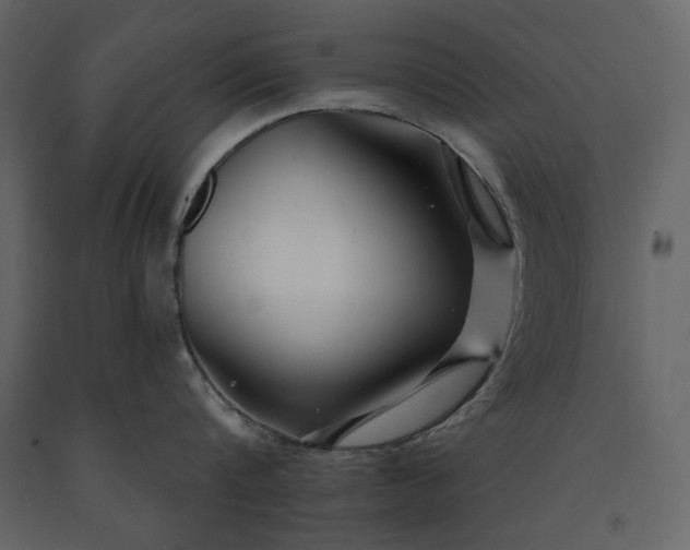 X0000091170816200708231504