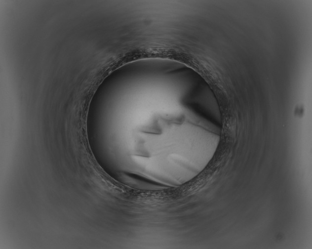 X0000091170817200708231503