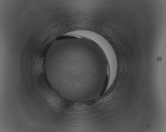 X0000091170818200708231503