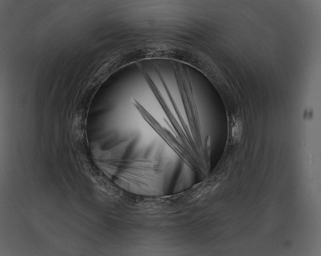 X0000091170819200708231503