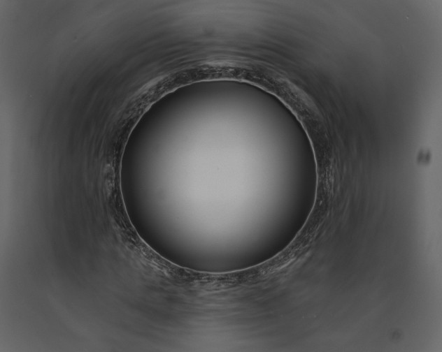 X0000091170821200708231503