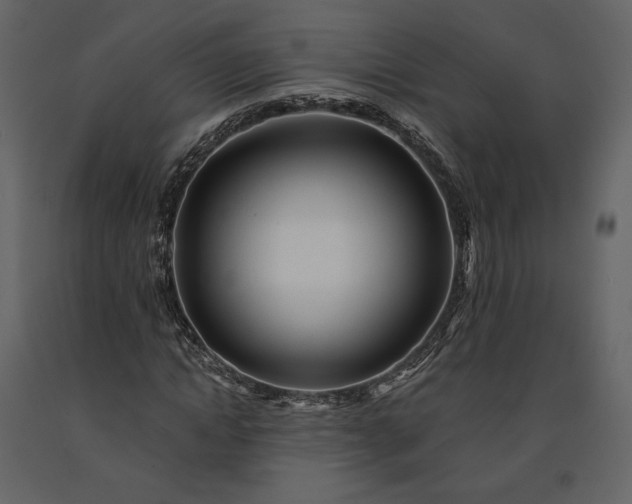 X0000091170822200708231503