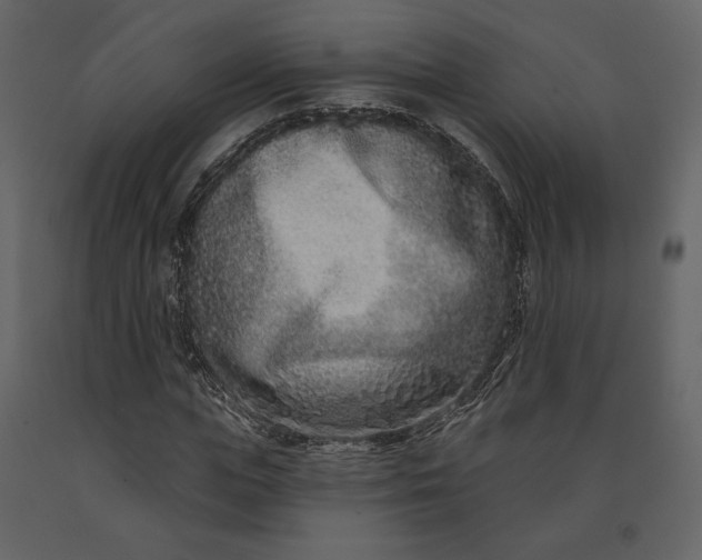 X0000091170823200708231503