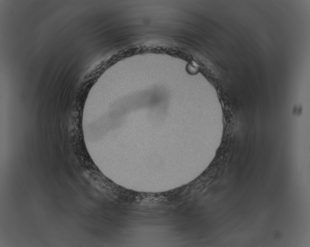 X0000091170824200708231503