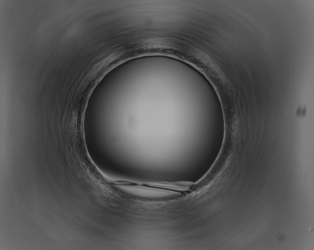 X0000091170825200708231503