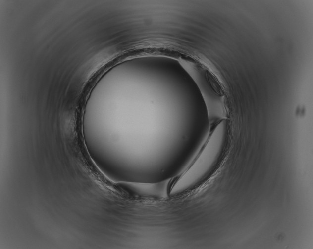 X0000091170826200708231503