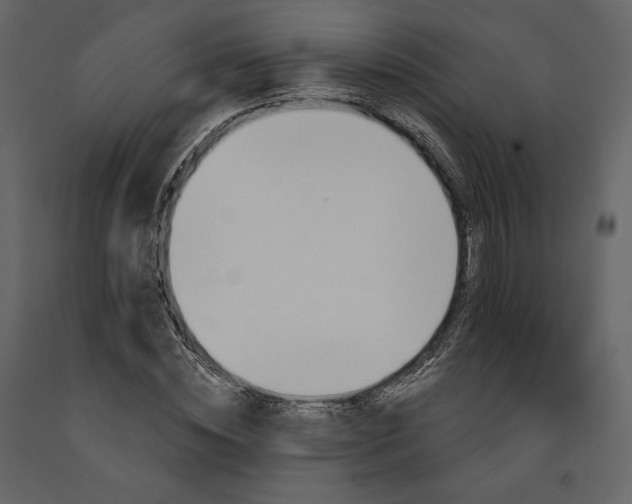 X0000091170828200708231503