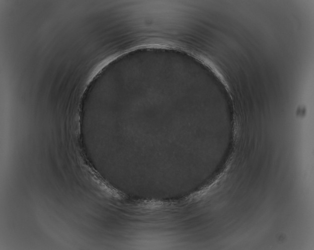 X0000091170829200708231503