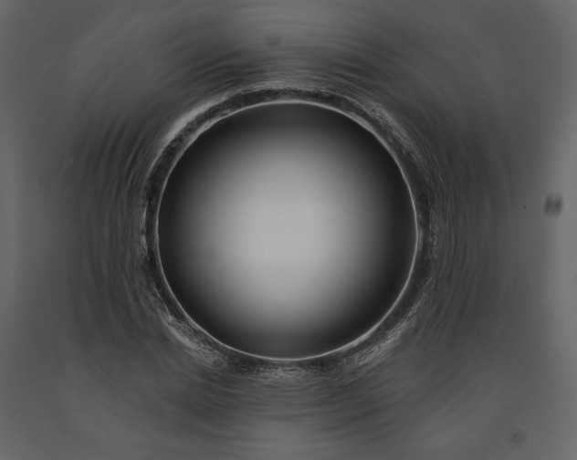 X0000091170830200708231503