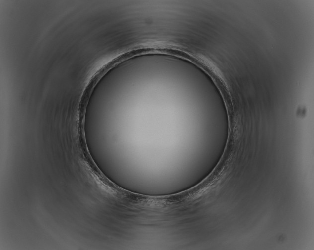 X0000091170831200708231503