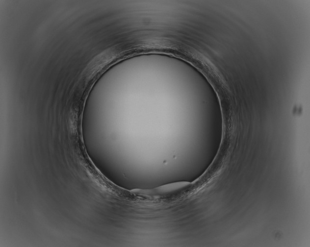 X0000091170833200708231503