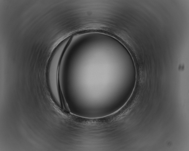 X0000091170834200708231503