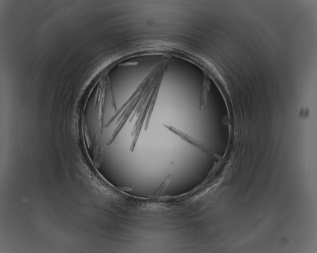 X0000091170835200708231503