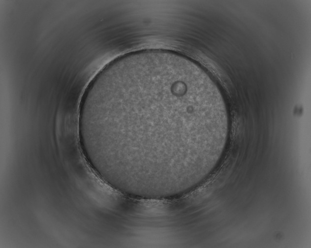 X0000091170836200708231503