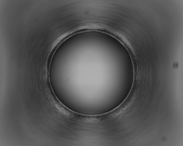 X0000091170837200708231503