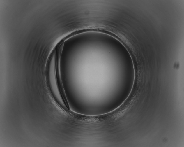 X0000091170838200708231503