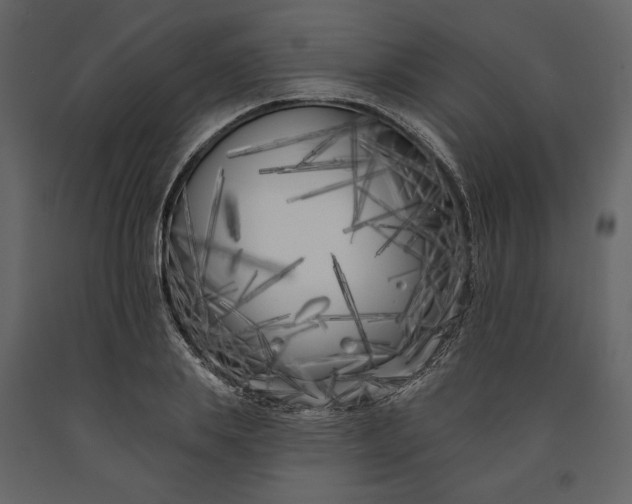 X0000091170839200708231503