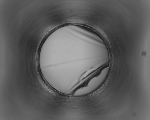 X0000091170840200708231503