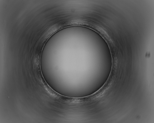 X0000091170841200708231503