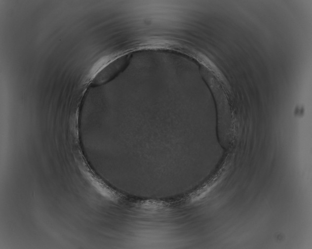 X0000091170842200708231503