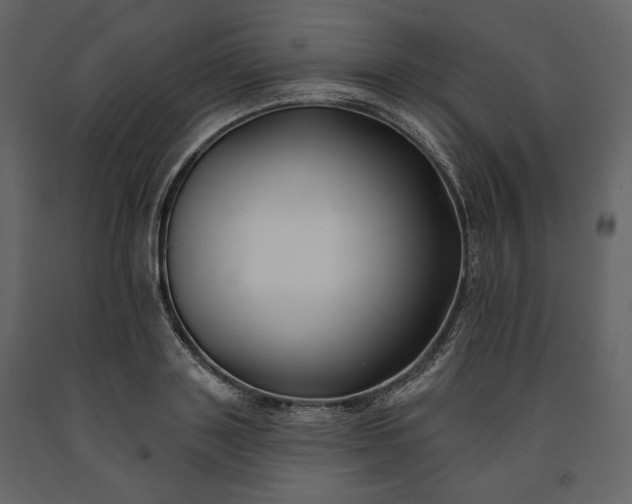 X0000091170843200708231503