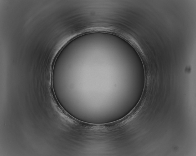 X0000091170844200708231503