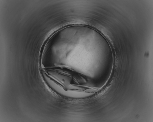 X0000091170845200708231503