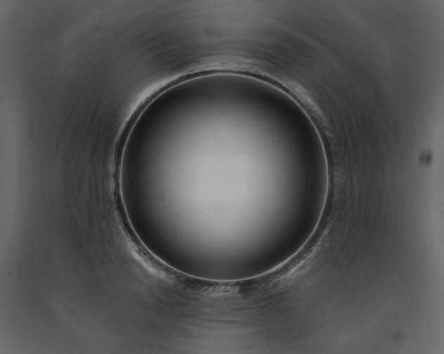 X0000091170846200708231503