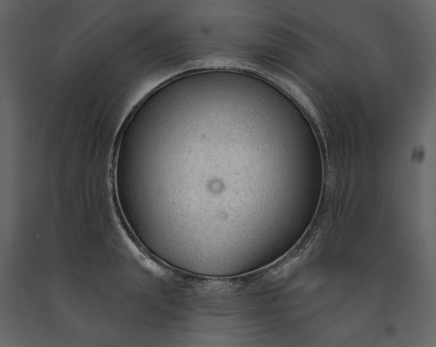 X0000091170847200708231503