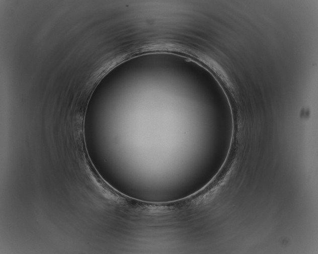 X0000091170849200708231504