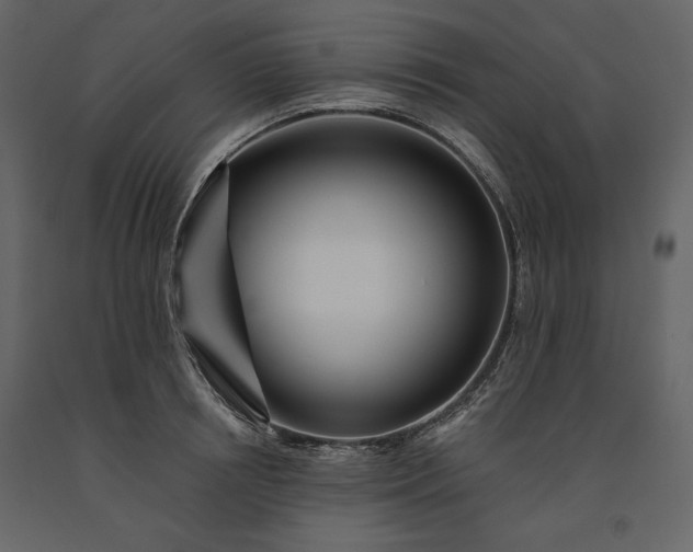 X0000091170850200708231504