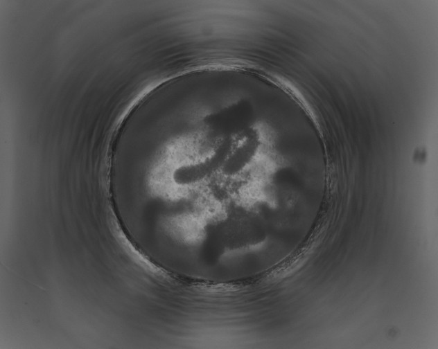 X0000091170851200708231504