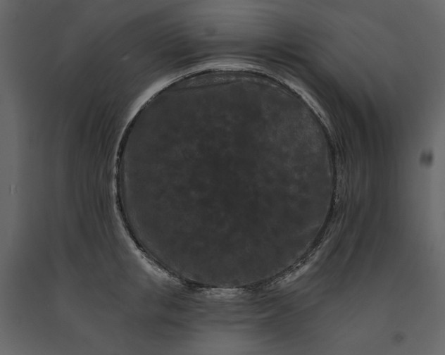 X0000091170853200708231504