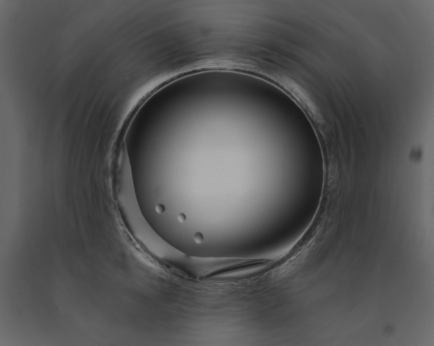 X0000091170854200708231504