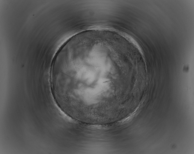 X0000091170855200708231504