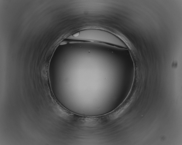 X0000091170857200708231504