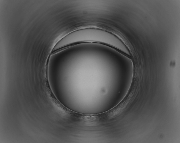 X0000091170858200708231504