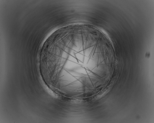 X0000091170859200708231504